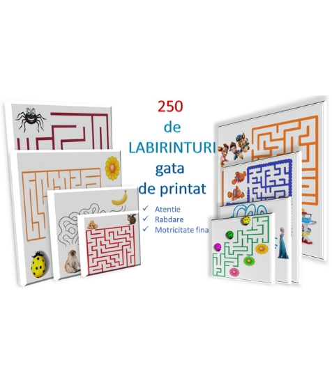 Imagine Fise activitati Labirint - 250 modele  PDF